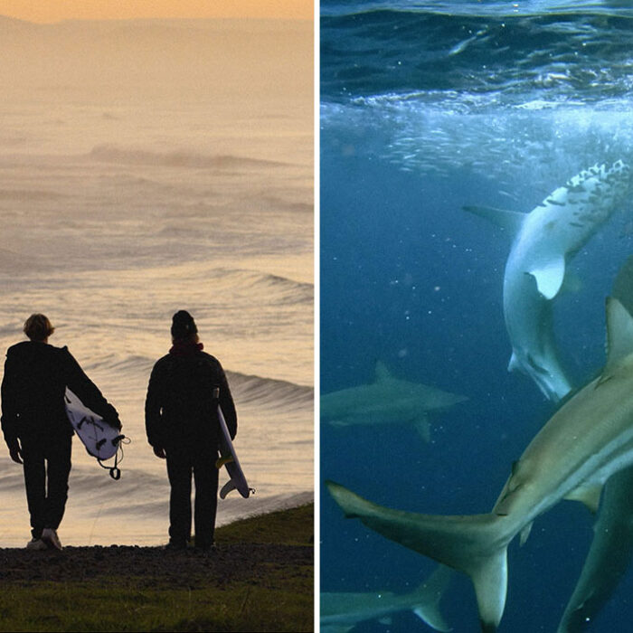riding the sardine run surf film