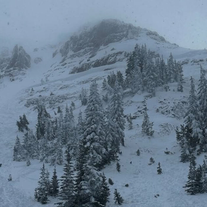 Photo: Teton County Search and Rescue // Facebook