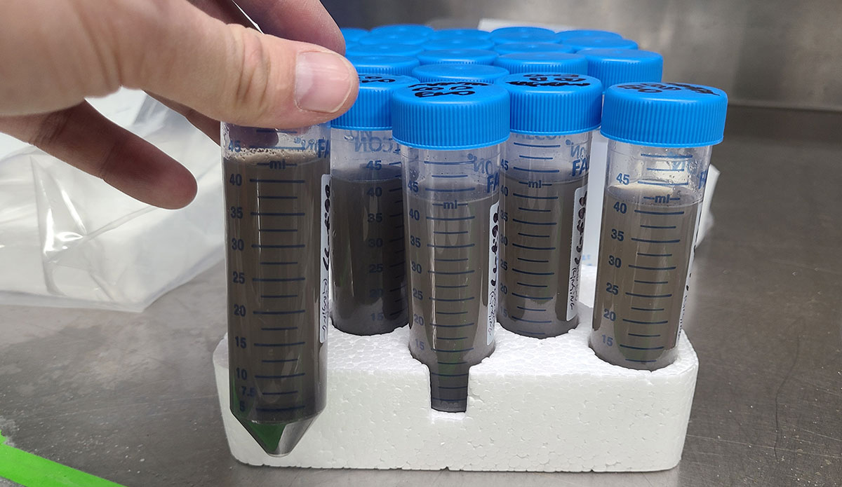 Finding Ash Researchers Are Finding Ash From Los Angeles Fires 100 Miles Out to Sea