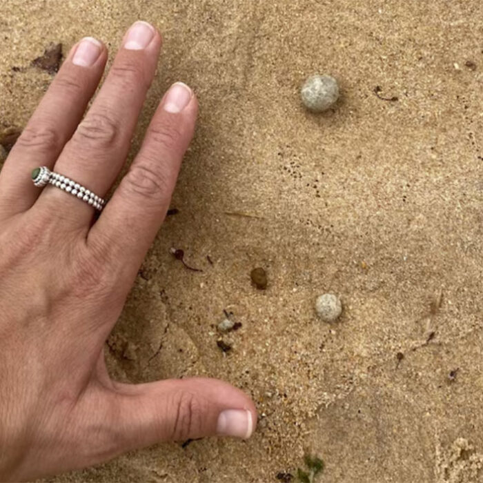 Sydney beaches closed for mysterious balls