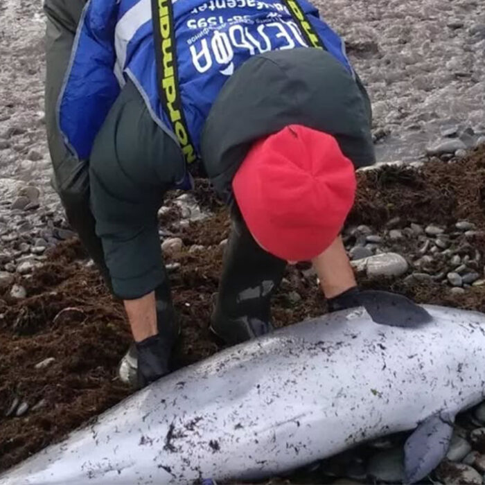 Black Sea oil spill