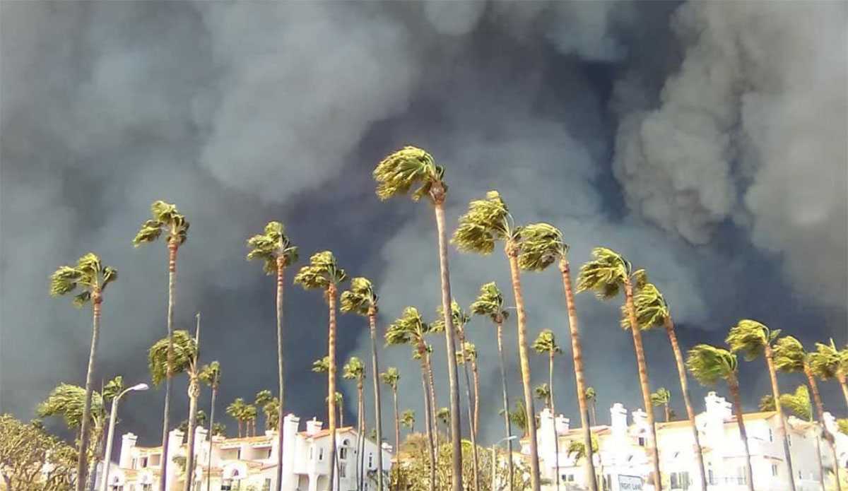 Finding Ash Researchers Are Finding Ash From Los Angeles Fires 100 Miles Out to Sea