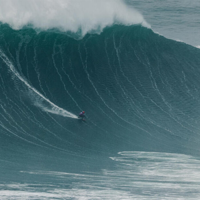 Photo: WSL