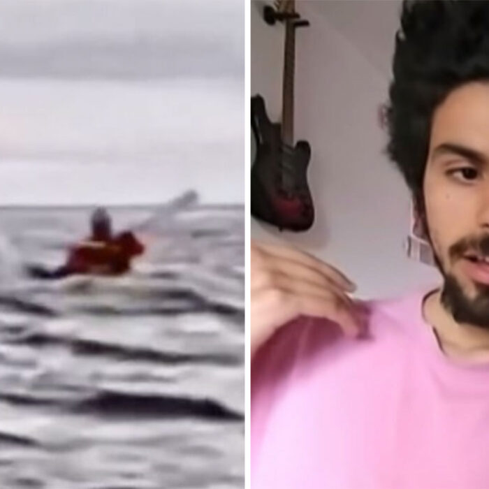 Humpback whale eats kayaker
