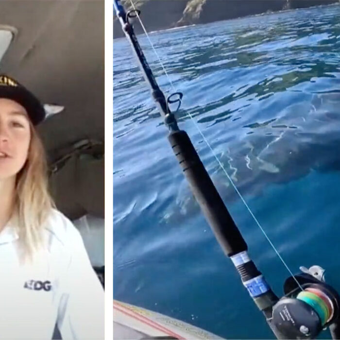 Matt Wells kayak fisherman great white shark