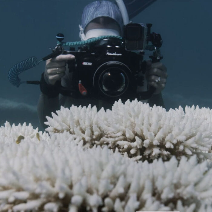 Ningaloo Reef
