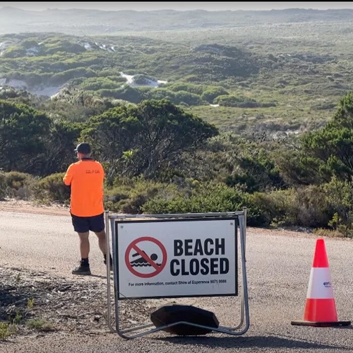 Photo: ABC News Australia // YouTube