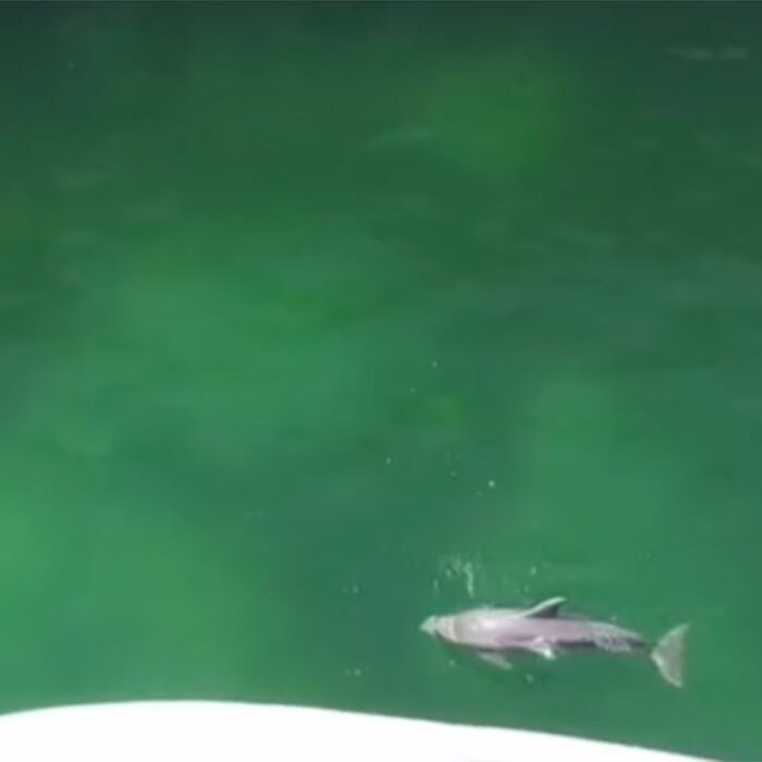 Florida Marine Park