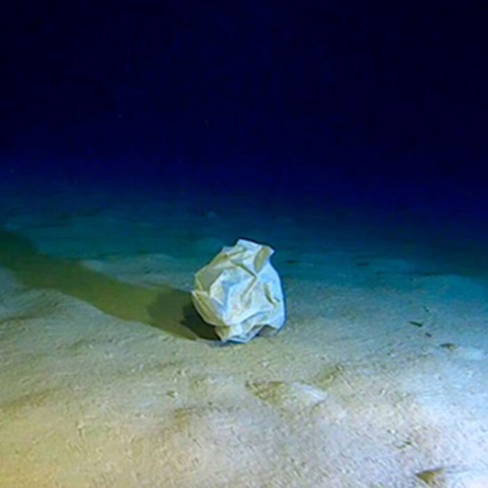 Mediterranean Sea garbage in Calypso Deep