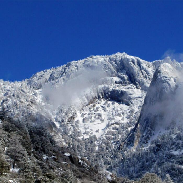 Two Injured Hikers Survived 3 Days in Snowy California Wilderness After 800-foot Fall