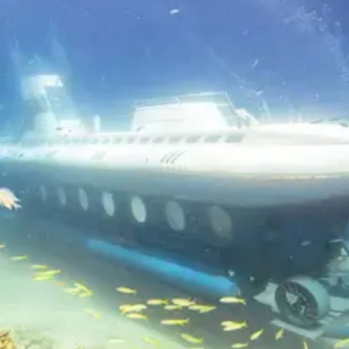 6 people dead in submarine accident