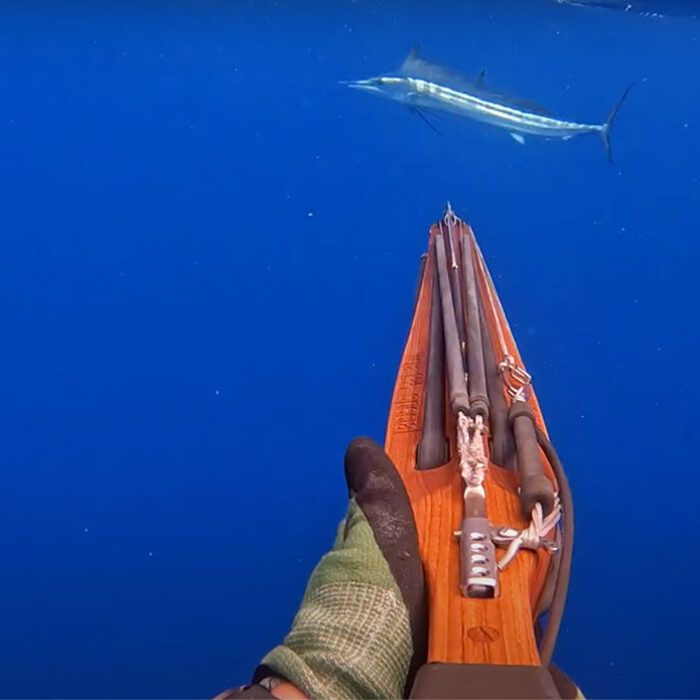 Mark Healey posts world record spearfishing shot