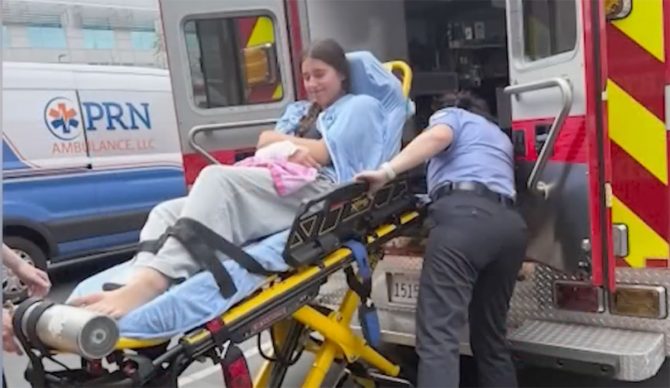 Sea lion attacks girl