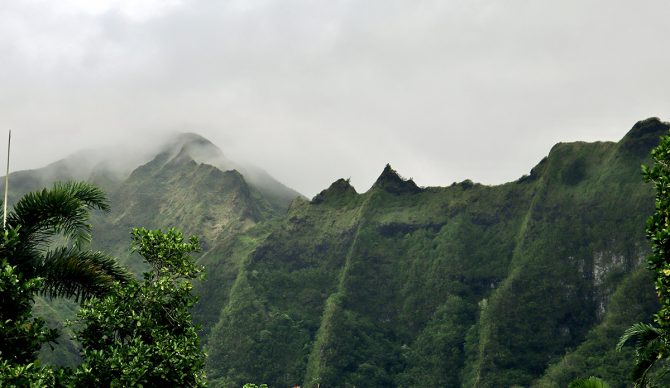 Hawaii Hiker Fights Off Husband’s Rock and Syringe Murder Attempt on Trail