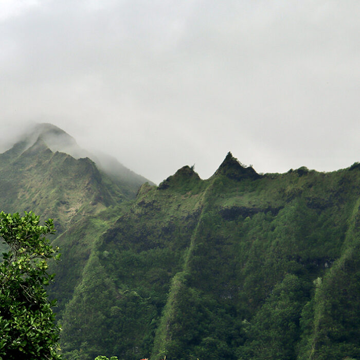 Hawaii Hiker Fights Off Husband’s Rock and Syringe Murder Attempt on Trail