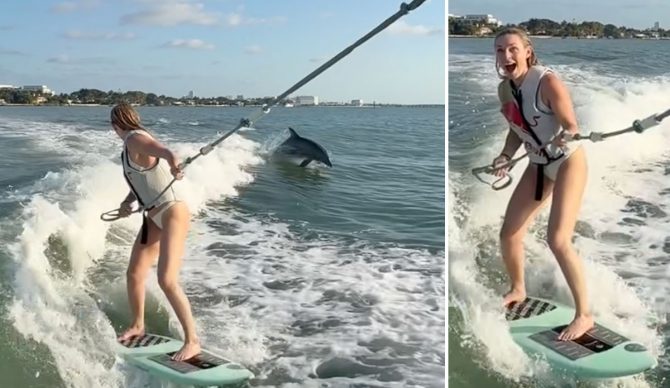 Lindsey Vonn wake surfing with dolphins