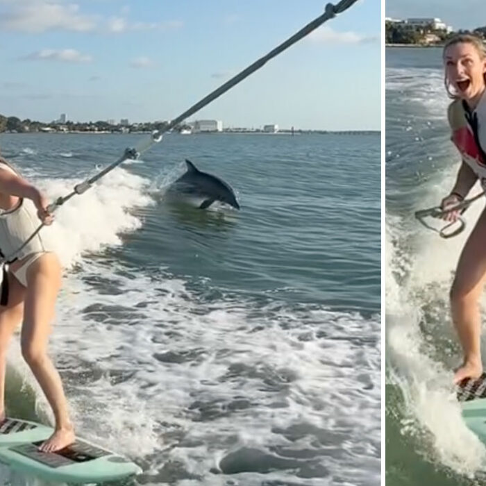 Lindsey Vonn wake surfing with dolphins