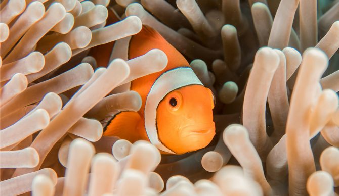 Photo: Sebastian Pena Lambarri // Unsplash