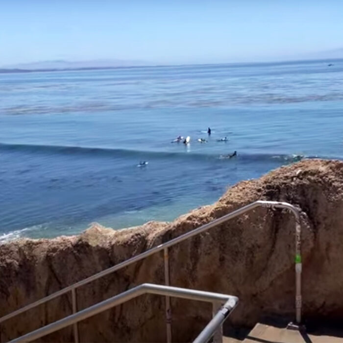 Surfer Arrested for Alleged Stabbing After Fight at Santa Cruz Wave