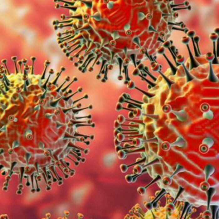 giant virus