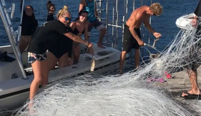 Donald trump pardons divers