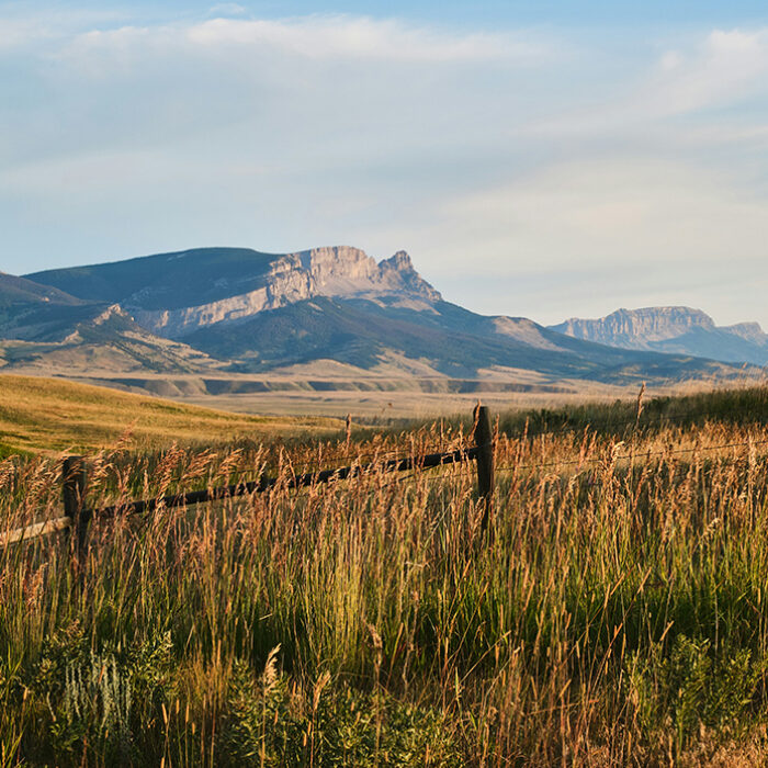 Unlikely MAGA-Environmentalist Coalition Unites to Strike Down Sale of Public Lands