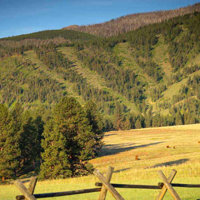 Got $24 Million? You Could Buy This Montana Ranch With Its Own Ski Runs