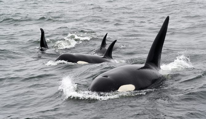 It's still unclear whether or not you're supposed to tip them. Photo Mike Doherty // Unsplash