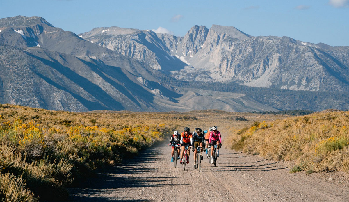 Mountain bikers on a trail