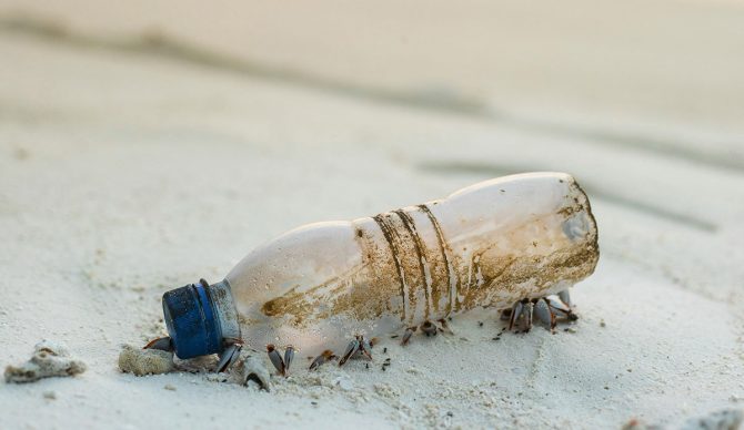 plastic pollution water bottle on the beach