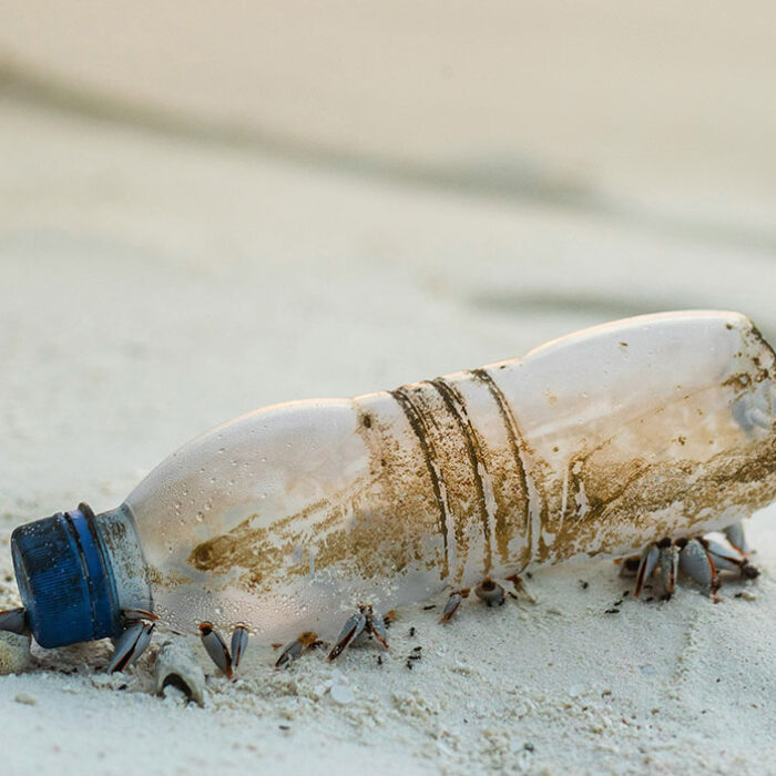 plastic pollution water bottle on the beach