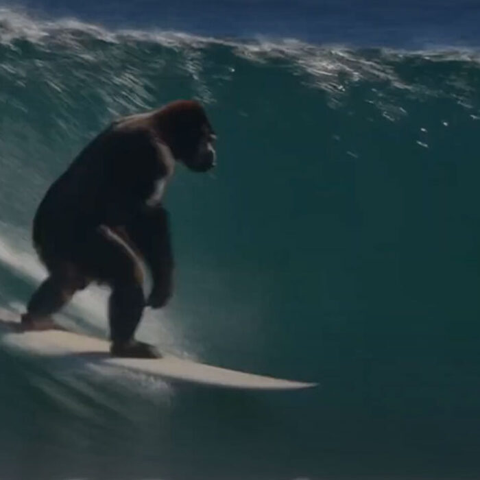 Gorilla on a surfboard