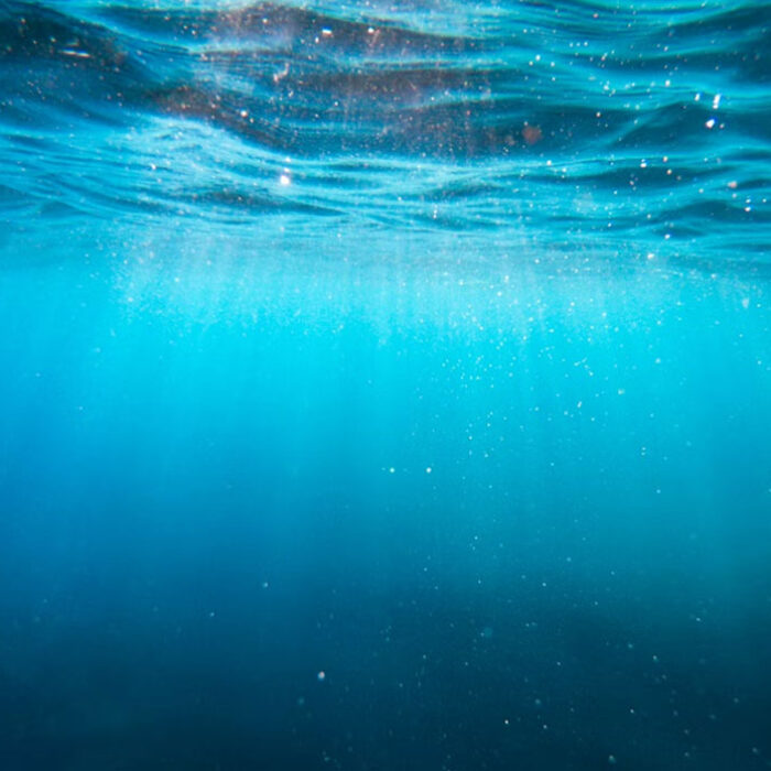 nanoplastics in seawater