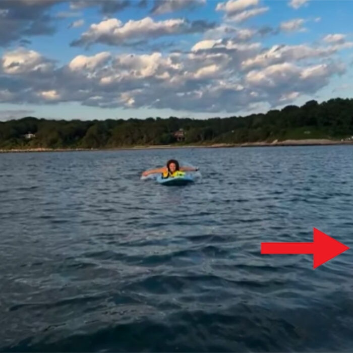 Horrified Paddle Boarders Accidentally Take Photo Next to Great White Shark