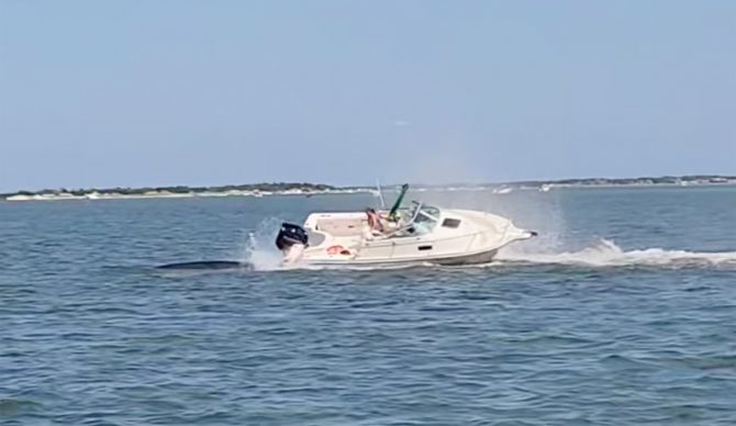 Photo: Kim Mancini // Facebook