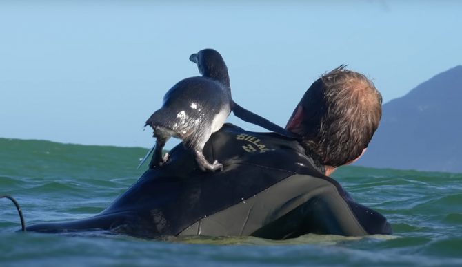 Photo: Now Now Media // YouTube