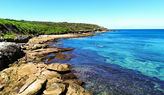 Malabar. Photo: Laura Bass // Unsplash