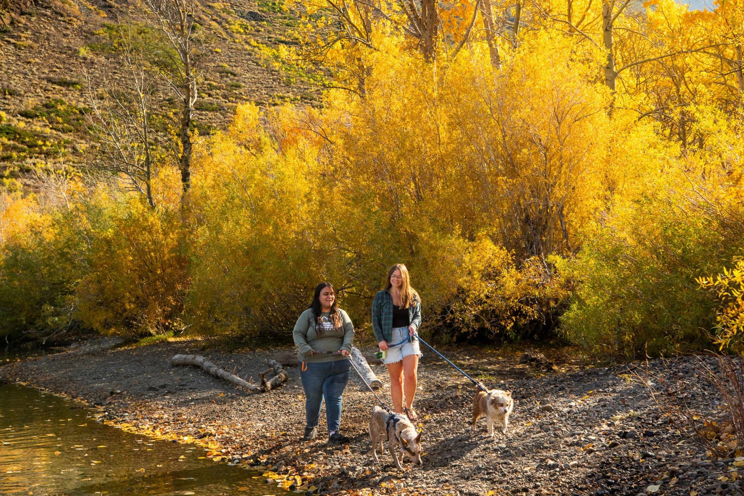 Fall hiking in Mammoth Lakes