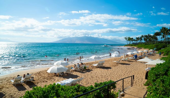 Kai Lenny isn't the only thing to watch out for in the Maui waters. Photo: Kenneth Oh // Unsplash