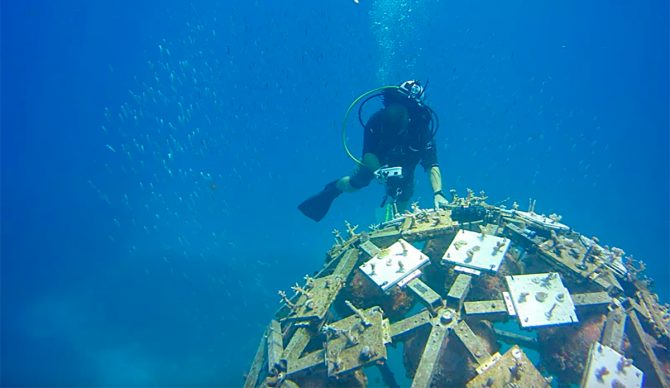 Are Floating Spheres the Answer to Saving Coral Reefs?