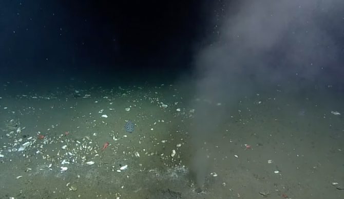 researchers studying a spring in the Cascadia Subduction Zone