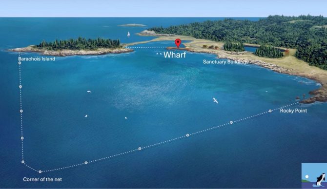 Whale sanctuary plans off the coast of Nova Scotia