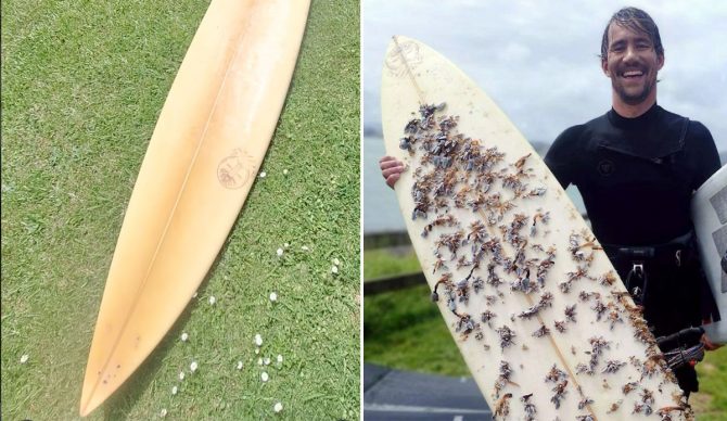 Lost surfboard found in New Zealand