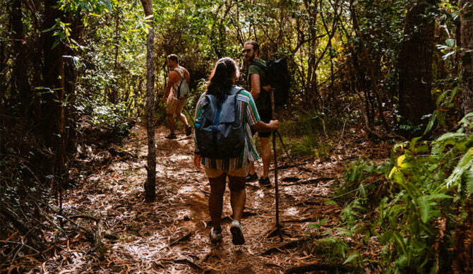 After a Spider Bite, a Hiker in Hawaii Was Rescued by Helicopter