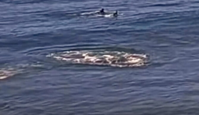 Photo: Beefs TV // Facebook_