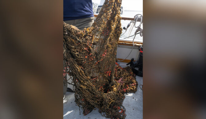 Photo: Jack Spitser // Arena