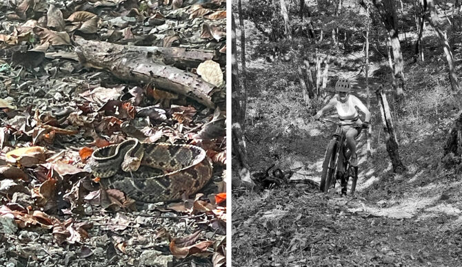 Nosara: Offshore Winds, Perfect Waves and a Fine Bowl of Ceviche