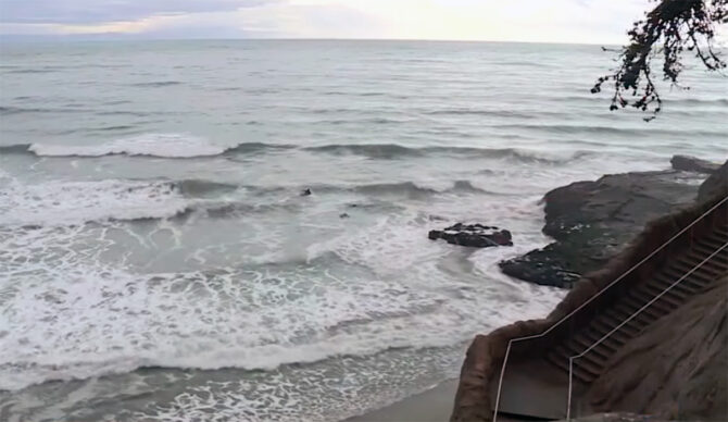 Two Surfers Were Rescued in Stormy Conditions in Santa Cruz; One Received CPR