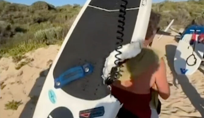 Wing foiler shows surfboard after great white shark attack