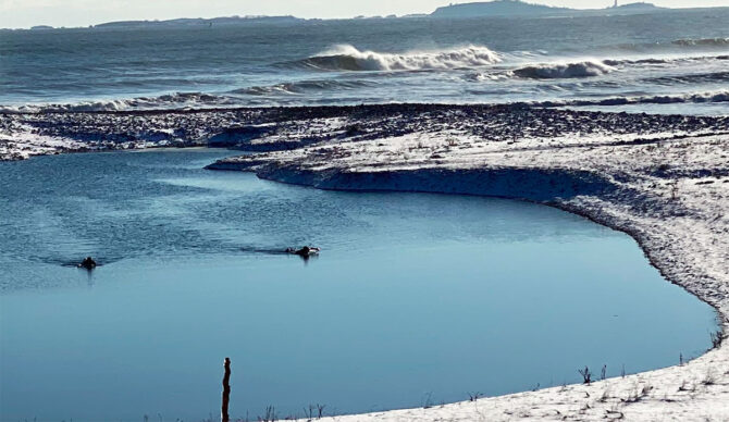 A Surf Picture Worth a Thousand Words, Or So